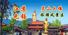 bb视频污插江苏无锡灵山大佛旅游风景区